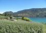 Kalamalka Lake in Oyama
